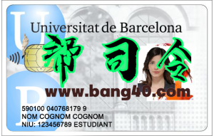 巴塞罗那大学学生证PSD模板University of Barcelona student ID PSD template-帮司令