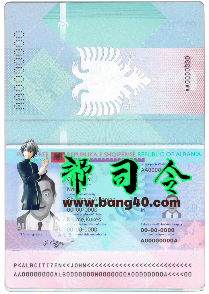 阿尔巴尼亚护照PSD模板