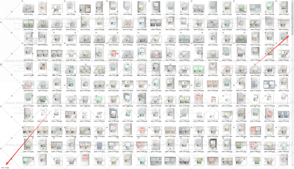 图片[2]-(自动发货)世界各个国家护照高清扫描件5246张|(Automatic delivery) 5246 high-definition scans of passports from various countries around the world