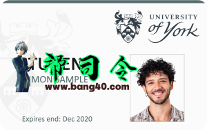 约克大学学生证PSD模板York University student ID PSD template-帮司令
