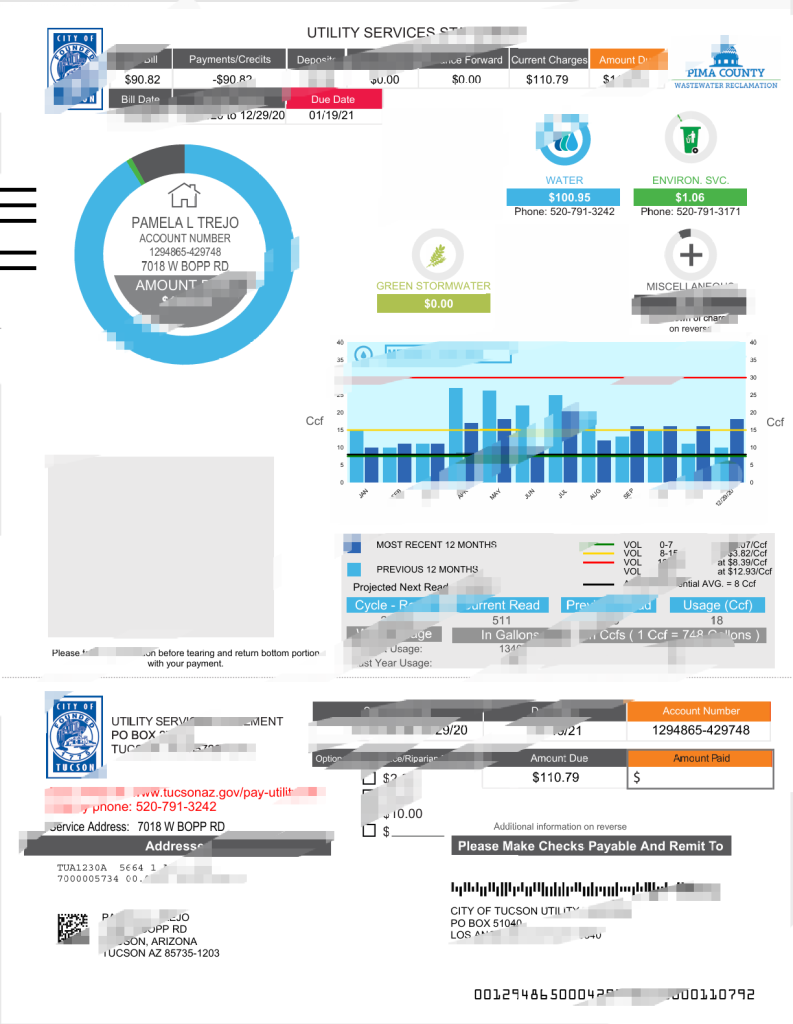 美国图森市公用事业服务声明模板（Word 和 PDF 格式）