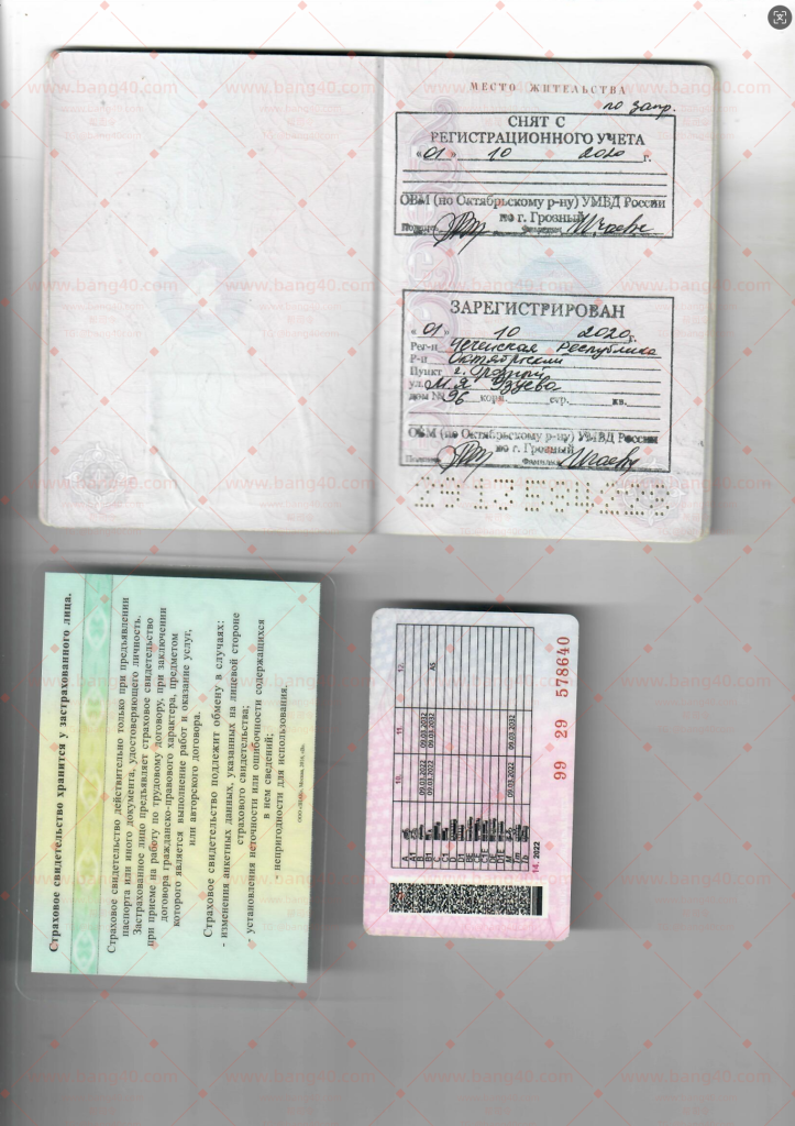 图片[4]-(自动发货)俄罗斯信息套件1736套|(Automatic delivery) Russian information kit 1736 sets