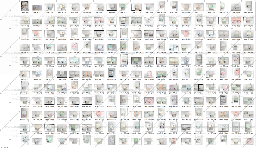 图片[3]-(自动发货)世界各个国家护照高清扫描件5246张|(Automatic delivery) 5246 high-definition scans of passports from various countries around the world