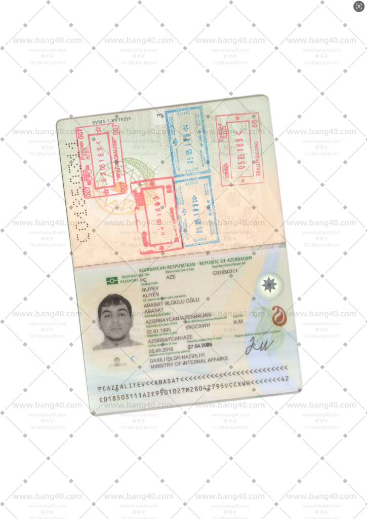 图片[4]-(自动发货)世界各个国家护照高清扫描件5246张|(Automatic delivery) 5246 high-definition scans of passports from various countries around the world