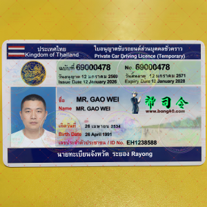 泰国罗勇府3个版本驾驶执照高清1:1复刻PSD模板(可打印)|Thailand Rayong Province driving license HD 1:1 replica PSD template-帮司令