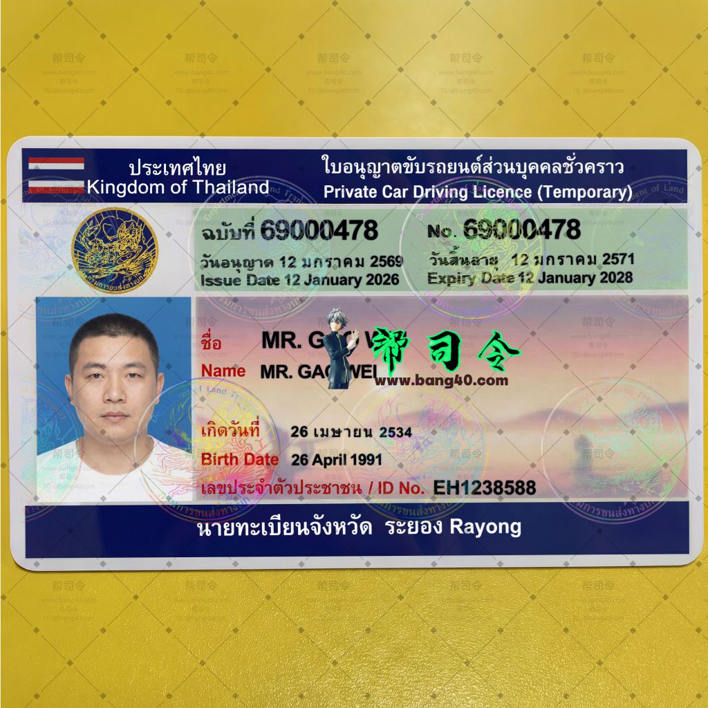 图片[2]-泰国罗勇府3个版本驾驶执照高清1:1复刻PSD模板(可打印)|Thailand Rayong Province driving license HD 1:1 replica PSD template