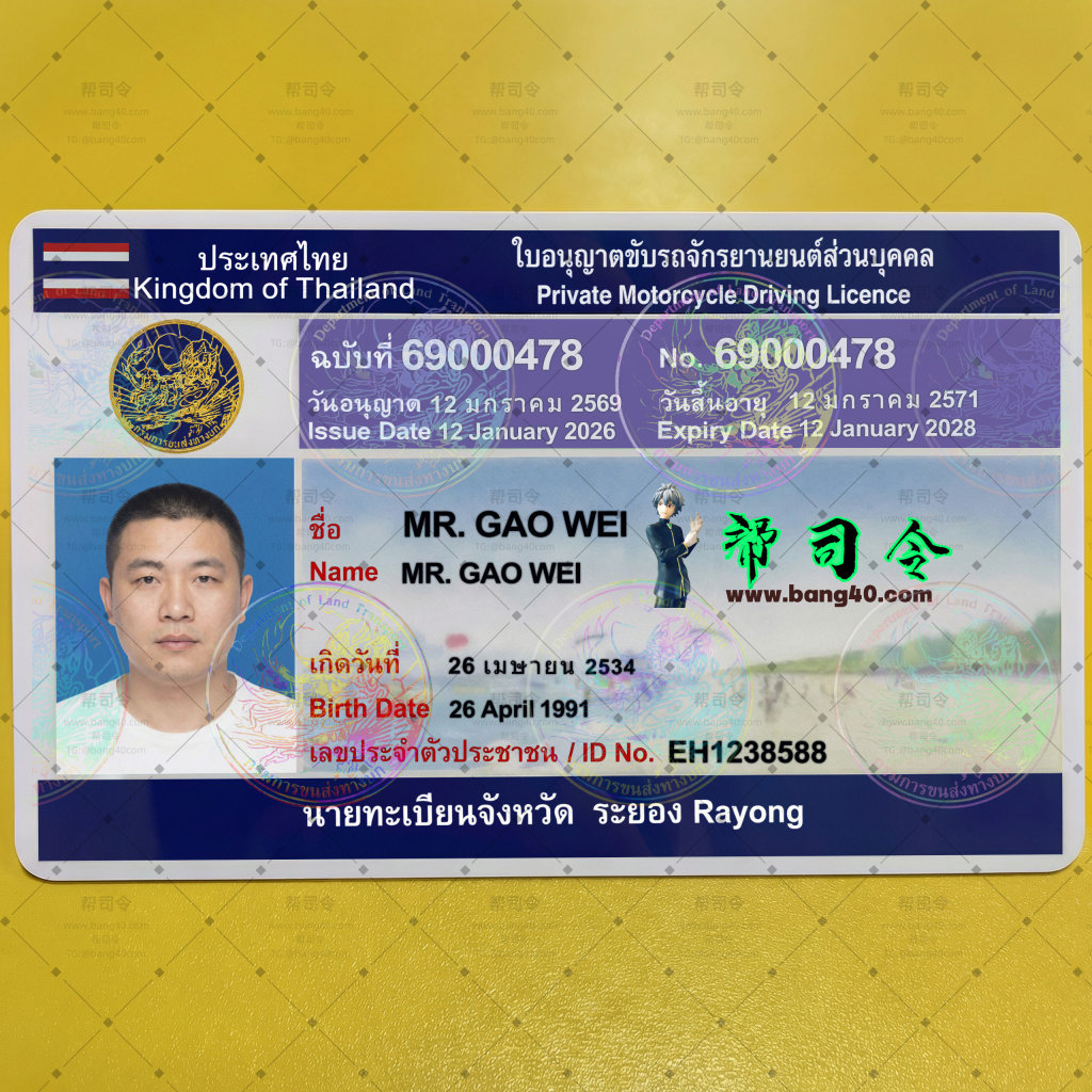 图片[10]-泰国罗勇府3个版本驾驶执照高清1:1复刻PSD模板(可打印)|Thailand Rayong Province driving license HD 1:1 replica PSD template