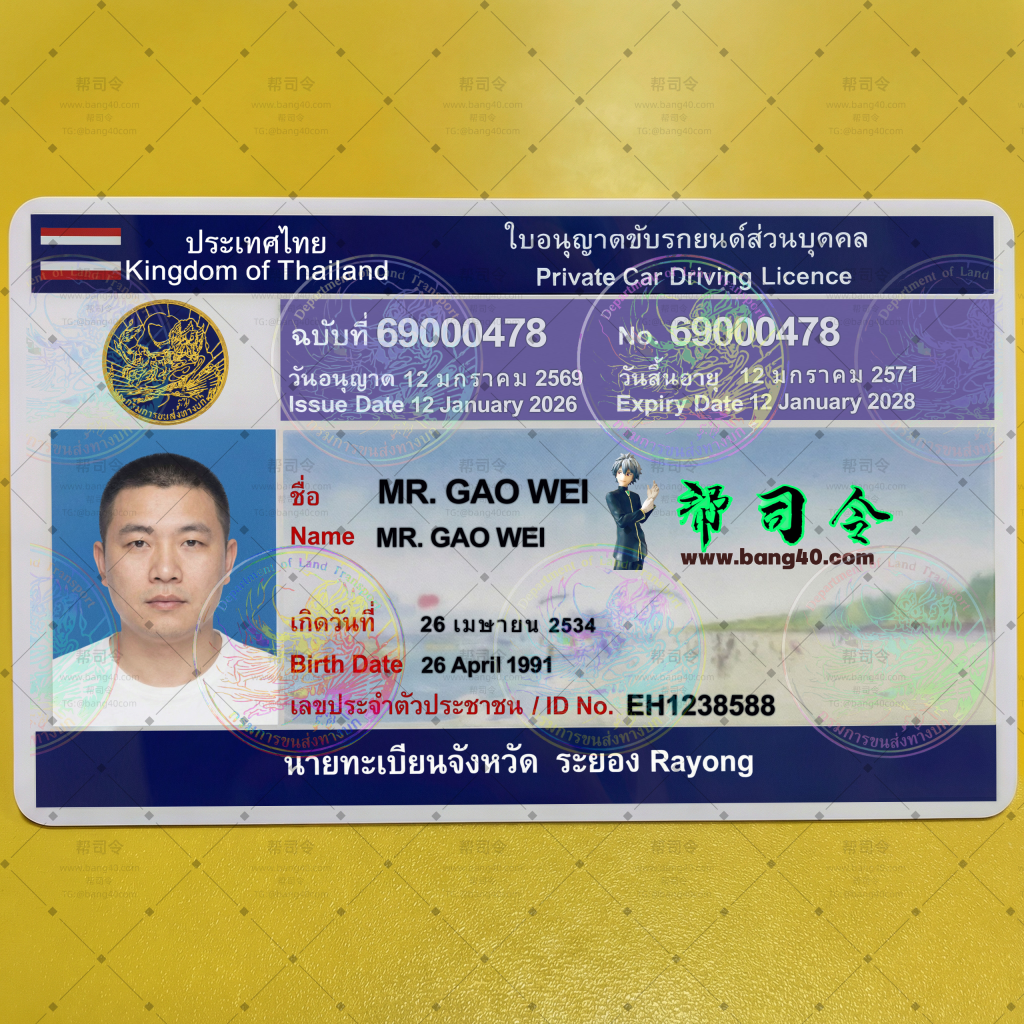 图片[7]-泰国罗勇府3个版本驾驶执照高清1:1复刻PSD模板(可打印)|Thailand Rayong Province driving license HD 1:1 replica PSD template