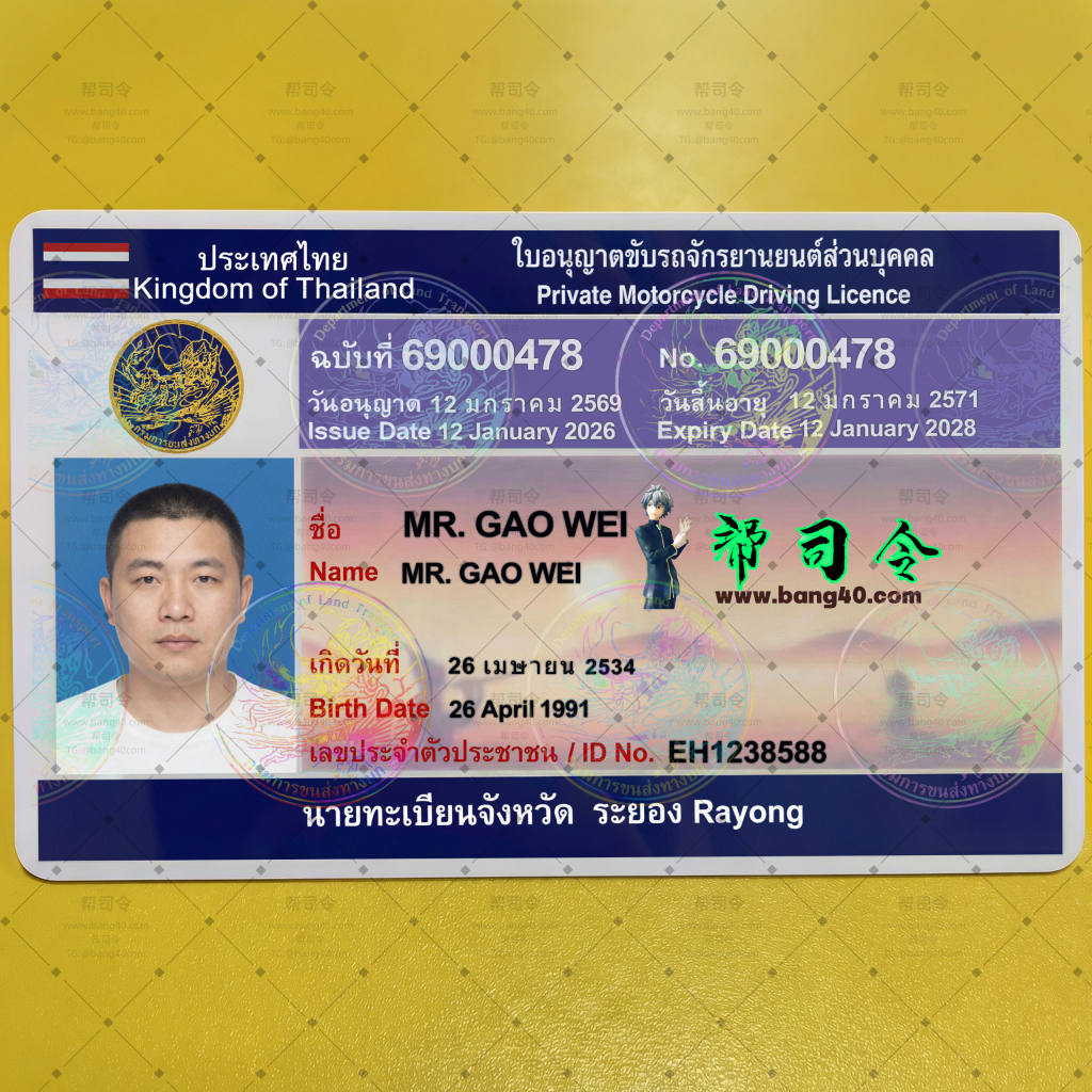 图片[11]-泰国罗勇府3个版本驾驶执照高清1:1复刻PSD模板(可打印)|Thailand Rayong Province driving license HD 1:1 replica PSD template