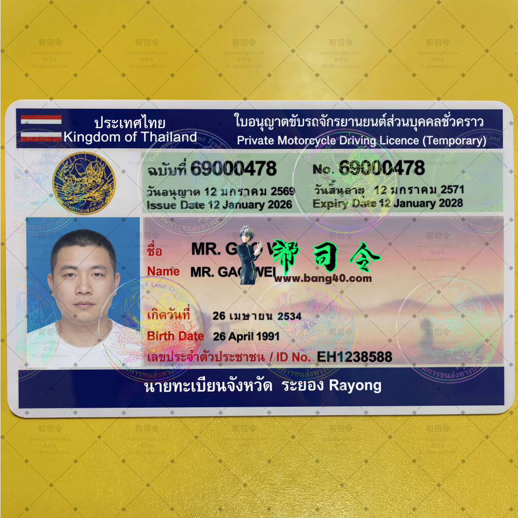 图片[5]-泰国罗勇府3个版本驾驶执照高清1:1复刻PSD模板(可打印)|Thailand Rayong Province driving license HD 1:1 replica PSD template