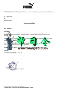 彪马公司经验证明 PSD 模板Puma Company Experience Certificate PSD Template-帮司令