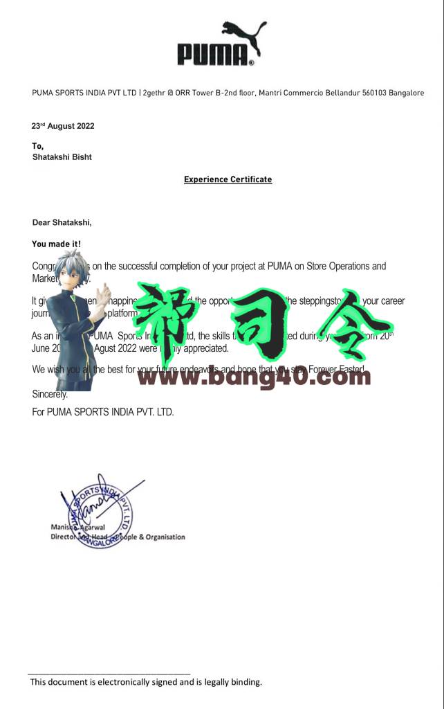 彪马公司经验证明 PSD 模板