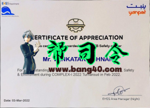 Yanpet 公司经验证明 PSD 模板Yanpet Company Experience Certificate PSD Template-帮司令