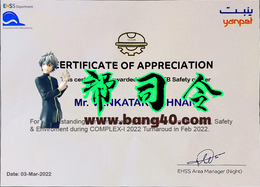 Yanpet 公司经验证明 PSD 模板