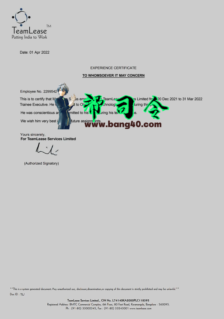 Teamlease公司经验证明PSD模板