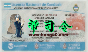 阿根廷驾驶执照 PSD 模板Argentina Driving License PSD Template-帮司令