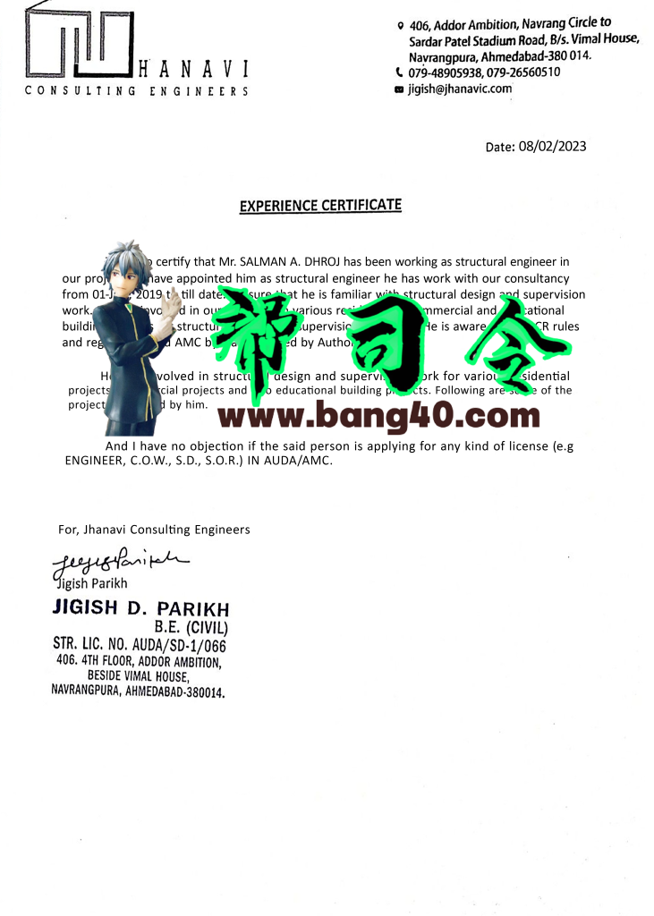 Hanavi咨询工程师经验证明模板