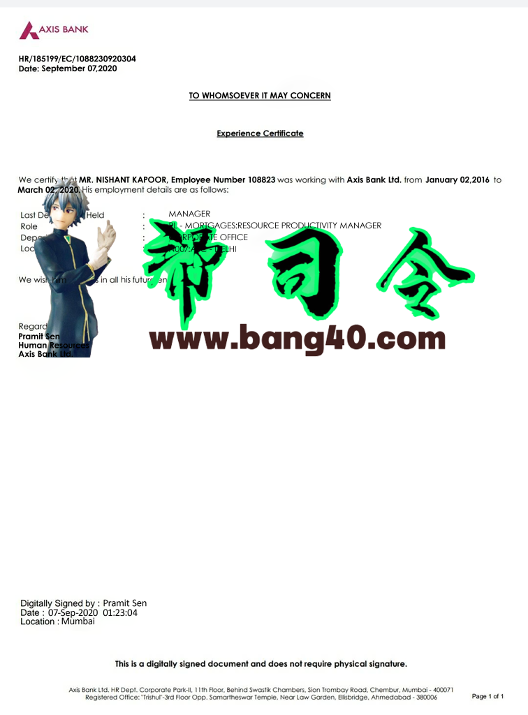 Axis银行工作经验证明PSD模板