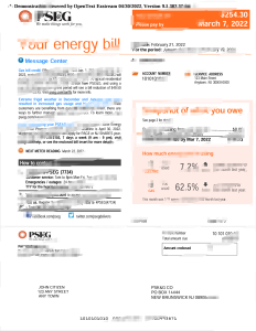 美国纽约PSEG水电费账单Word和PDF模板（5页）PSEG Utility Bill Template (New York, USA) - Word and PDF (5 pages)-帮司令