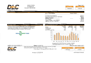 美国宾夕法尼亚州杜肯电力公司 (DLC) 公用事业账单 Word 和 PDF 模板USA Pennsylvania Duquesne Light Company DLC Utility Bill Word And PDF Template-帮司令