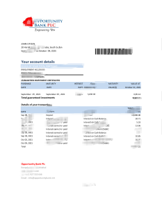 南苏丹机会银行对账单 Excel 和 PDF 模板South Sudan Opportunity Bank statement Excel And PDF Template-帮司令