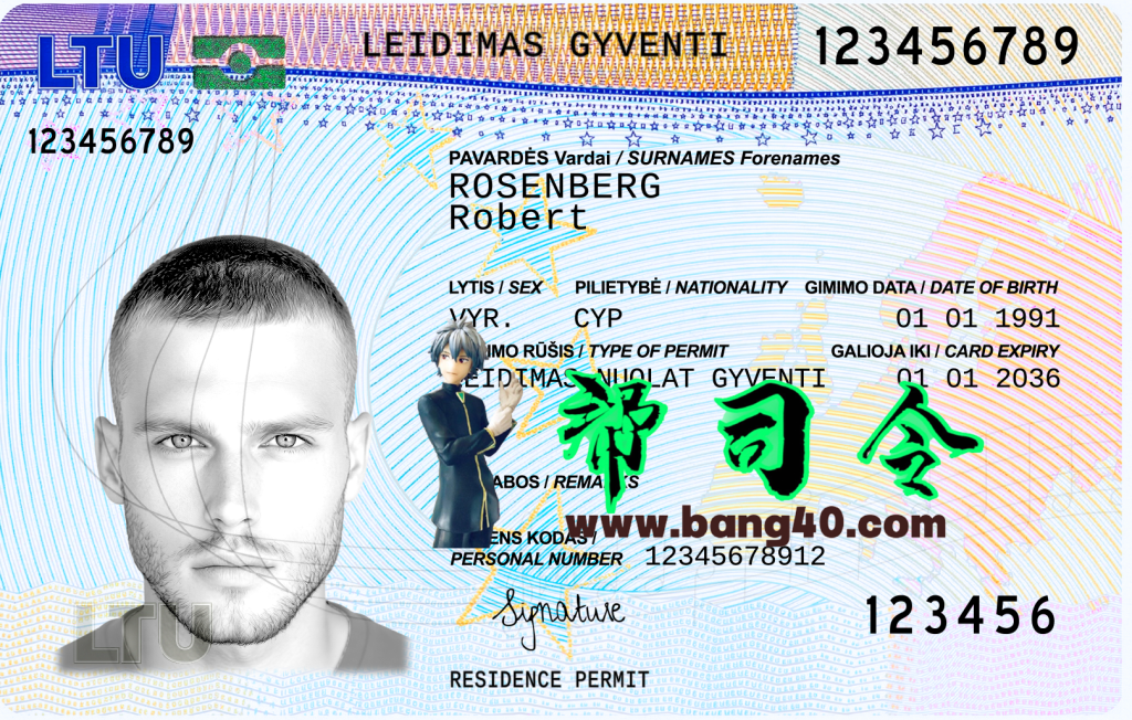 立陶宛居留许可卡 PSD 模板