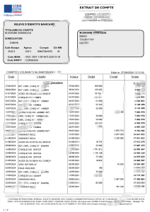 塞内加尔科里斯银行国际声明摘要Senegal Coris Bank International Statement Summary-帮司令