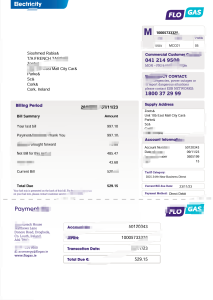 爱尔兰弗洛加斯电费账单模板，Word和PDF格式Ireland Flogas Electricity Bill Template in word and pdf format-帮司令