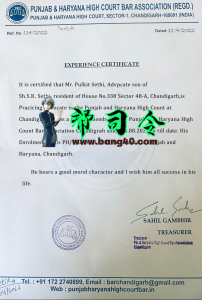 旁遮普邦和哈里亚纳邦高等法院律师协会经验证书 PSD 模板Punjab Haryana High Court Bar Association Experience Certificate PSD Template-帮司令