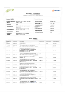尼日利亚访问银行对账单模板(Word和PDF格式)Nigerian bank statement template (Word and PDF formats)-帮司令