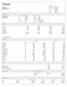 美国边境航空工资单模板（Word和PDF格式）US Border Aviation Pay Slip Template (Word and PDF formats)-帮司令
