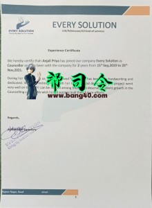 所有解决方案经验证书 PSD 模板Every Solution Experience Certificate PSD Template-帮司令