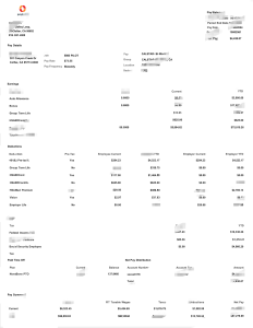 美国 CALSTAR 双周工资单 Word 和 PDF 模板USA CALSTAR Bi-Weekly Pay Statement Word And PDF Template-帮司令