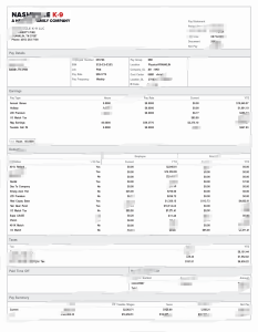 美国纳什维尔K-9 LLC工资单模板（Word和PDF格式）USA Nashville K-9 LLC Paystub Template In Word And PDF Format-帮司令