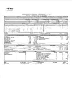美国瓦里安医疗系统公司工资单模板（Word 和 PDF 格式）USA Varian Medical Systems Inc Paystub Template In Word And PDF Format-帮司令