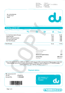 阿联酋账单模板（Word 和 PDF 格式）United Arab Emirates du Bill Template in word and pdf format-帮司令