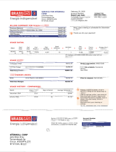 巴西巴西法案模板，含Word和PDF格式Brazil Brasilgás Bill Template in word and pdf format-帮司令