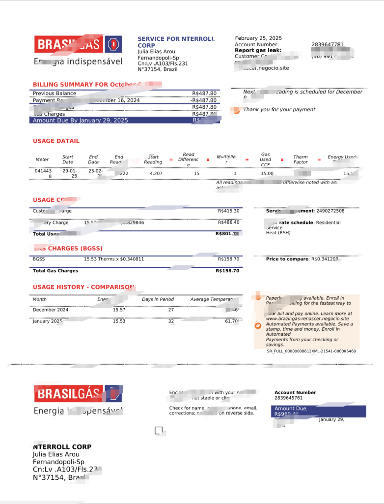 巴西巴西法案模板，含Word和PDF格式