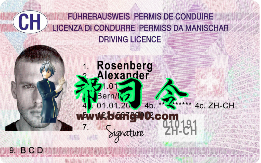 瑞士驾驶执照模板（2023年至今）