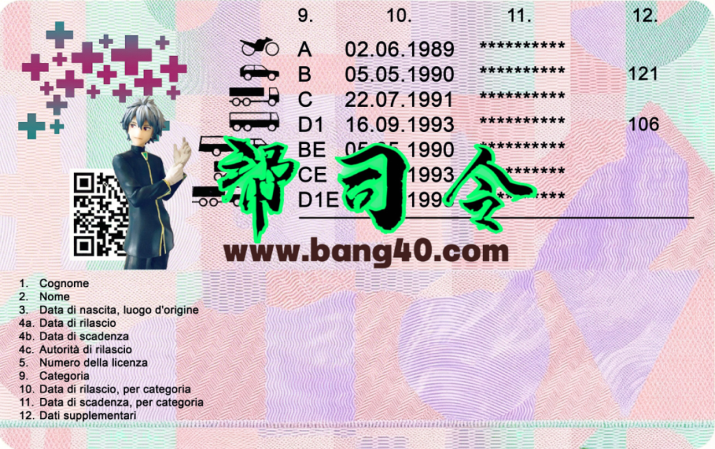 图片[2]-瑞士驾驶执照模板（2023年至今）