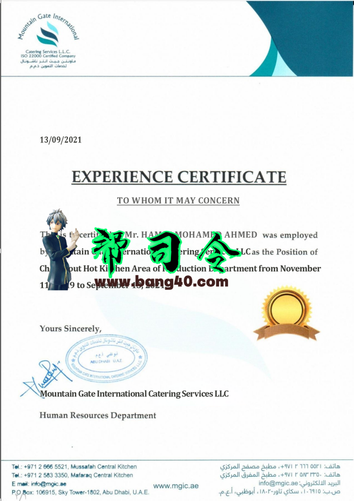 山门国际经验证书PSD模板