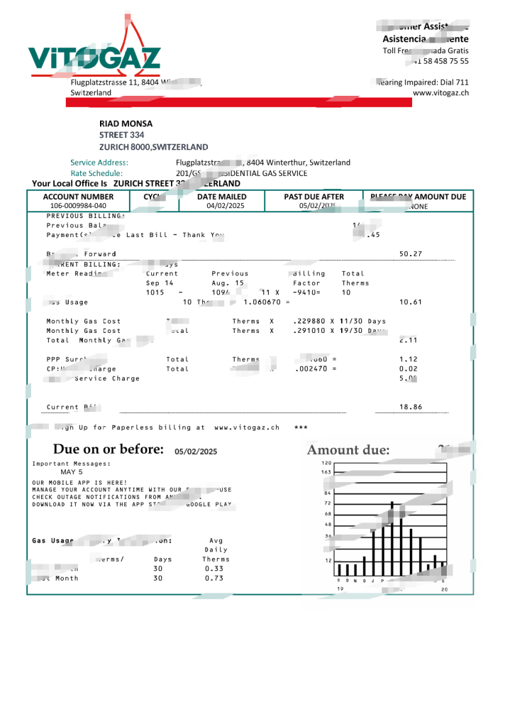 瑞士 Vitogaz Switzerland AG 公用事业账单模板（Word 和 PDF 格式）