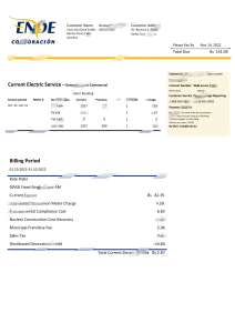 玻利维亚 Ende 电费账单模板Bolivia Ende Electric Bill Template-帮司令