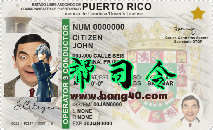 波多黎各驾驶执照模板