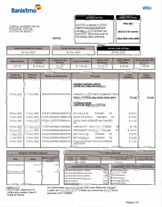 秘鲁签证声明模板（Word 和 PDF 格式）Peru Visa Statement Template in word and pdf format-帮司令