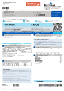阿根廷 MetroGAS 天然气账单 Word 和 PDF 模板Argentina MetroGAS Natural Gas Bill Word And PDF Template-帮司令