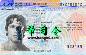 捷克永久居民卡模板（PSD格式，v2）Czech Permanent Resident Card Template (PSD format, v2)-帮司令
