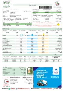 阿联酋SEWA税务发票（Word和PDF格式）SEWA tax invoices from the UAE (Word and PDF formats)-帮司令