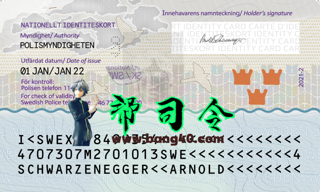图片[2]-瑞典身份证 PSD 模板新版本