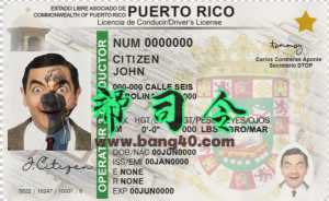 新的波多黎各驾驶执照模板（PSD格式）New Puerto Rican driver's license template (PSD format)-帮司令